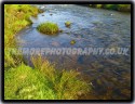 Rocks In The Water